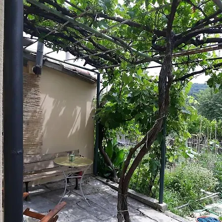 Lafkos Garden Apartment Λαύκος