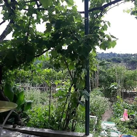 Διαμέρισμα Lafkos Garden Apartment